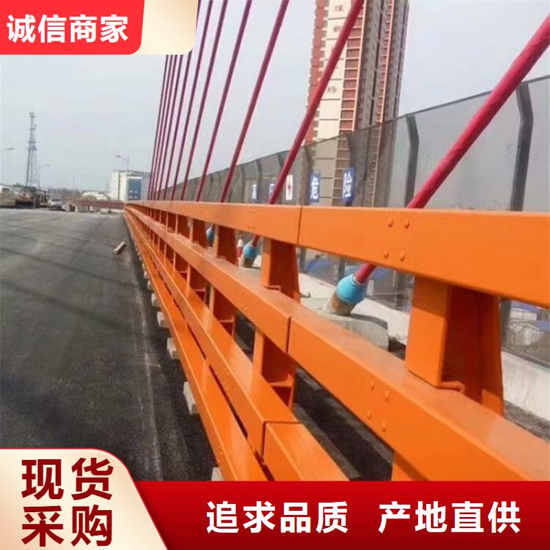 订制批发【神龙】桥梁人行道护栏施工