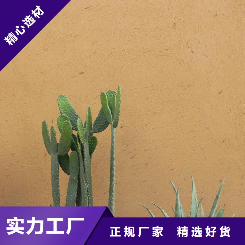 施工厂家内外墙稻草漆按需定制