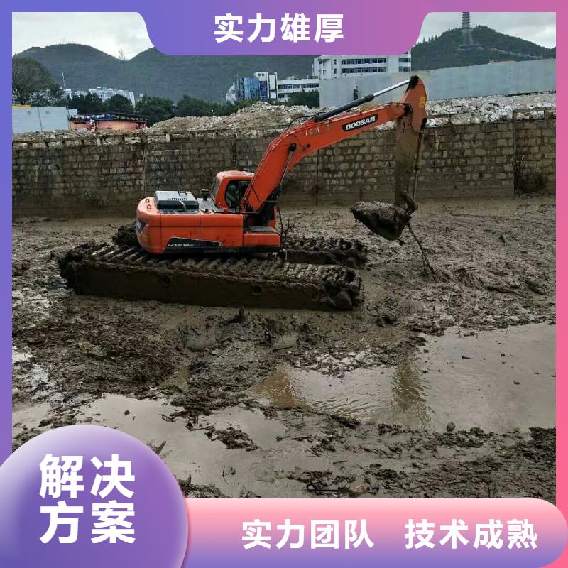 (顺升)屯昌县
水陆挖机出租优惠价