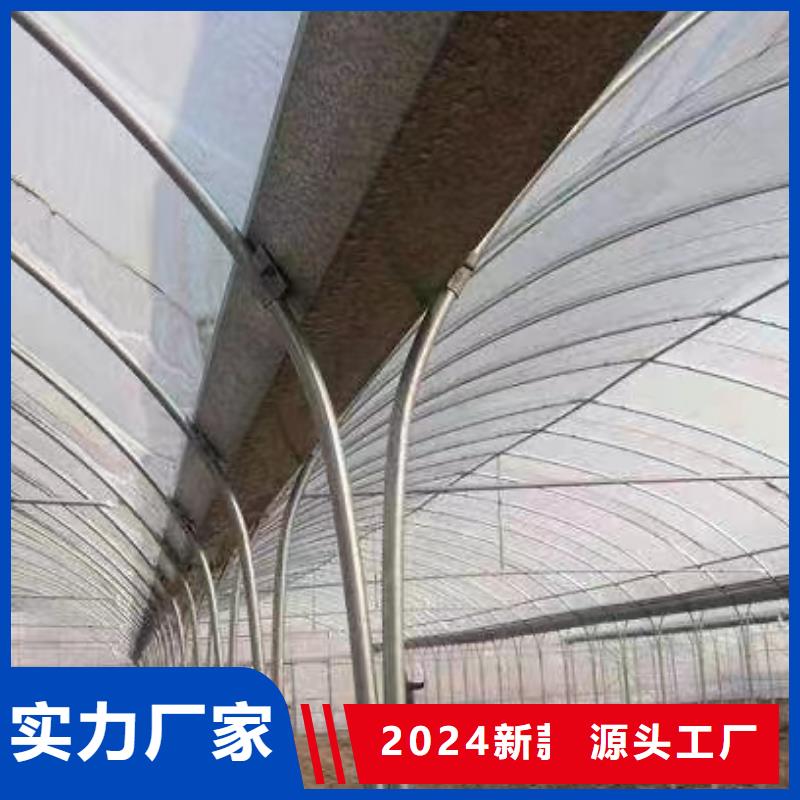 清河门区连栋温室大棚本地厂家2024--09