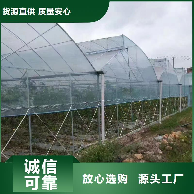 荔城区大棚钢管价格表现货报价