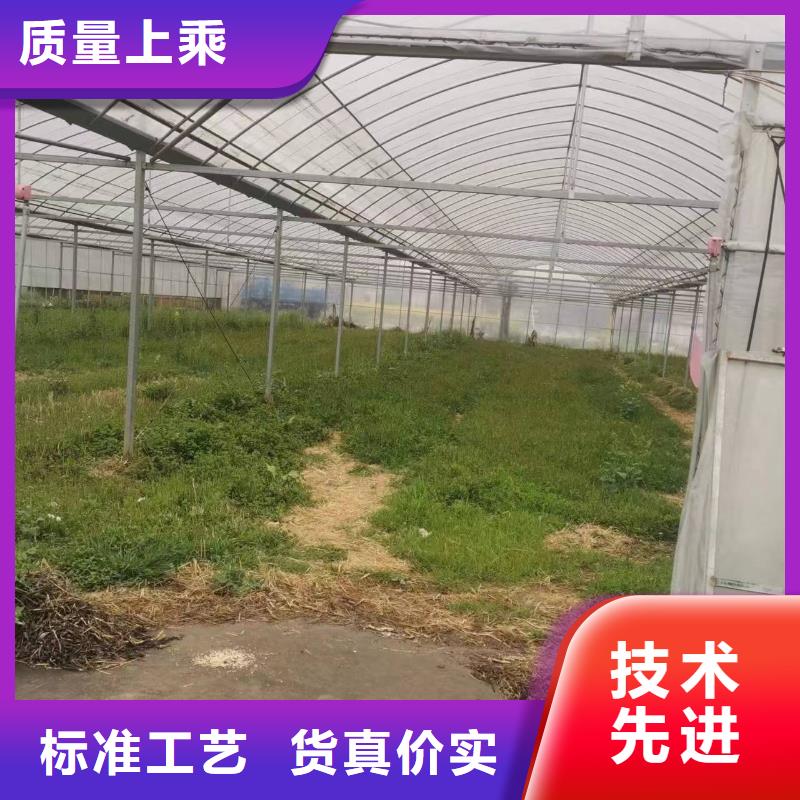 永康市蔬菜大棚6米8米【修饰词