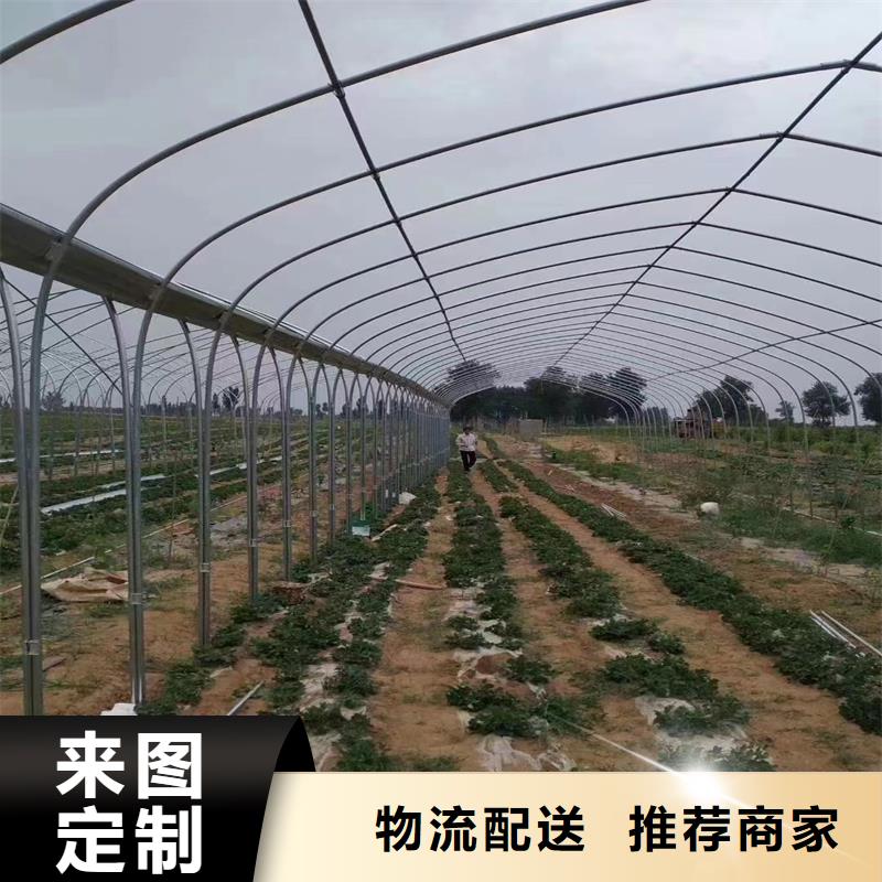 蔬菜大棚厂出厂价格