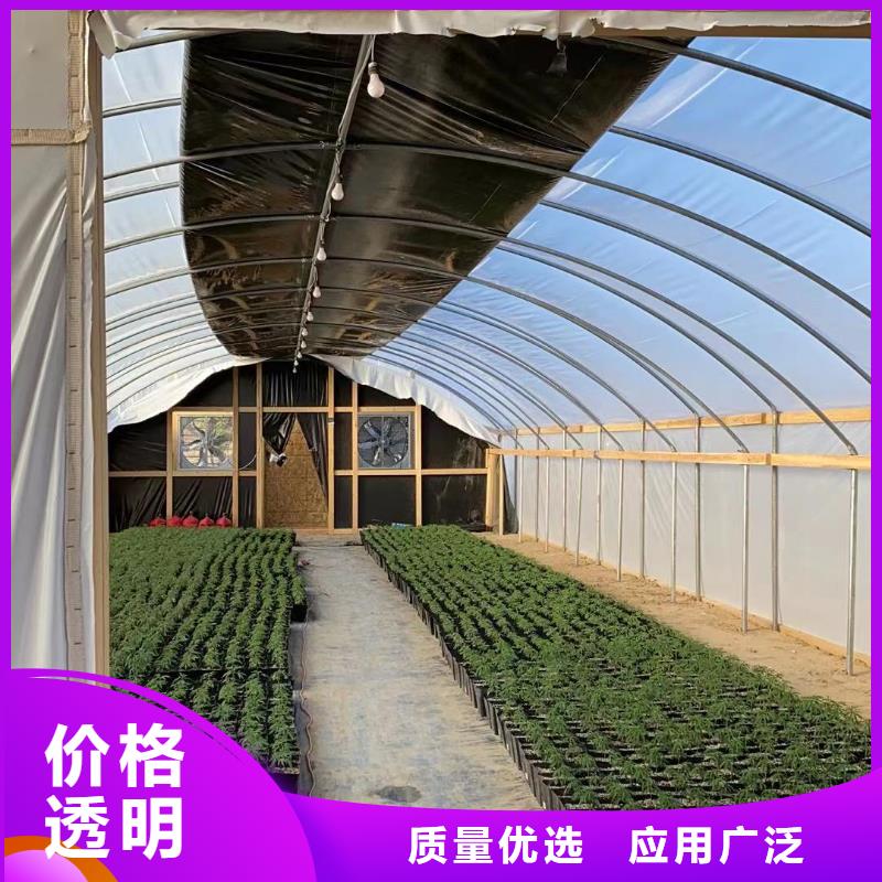 南郊区葡萄沃柑种植大棚厂家供应