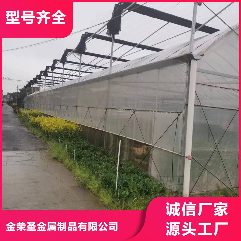 朔城区葡萄沃柑种植大棚询问报价