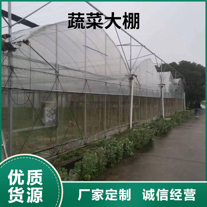 安徽省定金锁价{金荣圣}雨山区GP825葡萄避雨大棚本地厂家