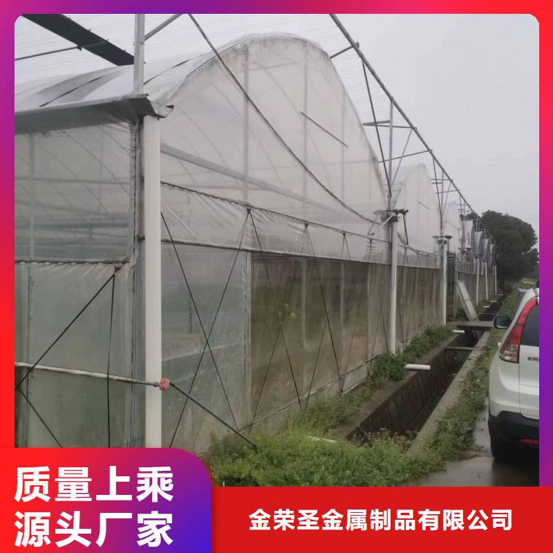 陕西省安装简单<金荣圣>莲湖区葡萄避雨大棚厂家现货
