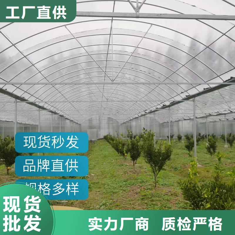 江阴市进口利得绿白薄膜实力厂家