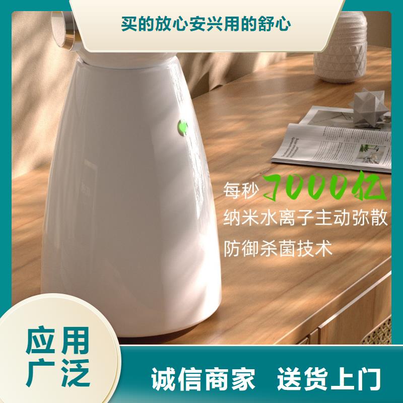 <艾森>【深圳】解决异味的小能手生产厂家小白空气守护机