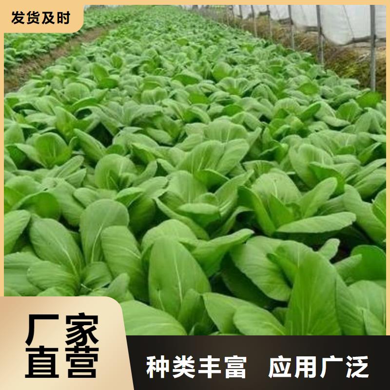 龙邦大荔渭南鸡粪有机肥可以给蔬菜供肥