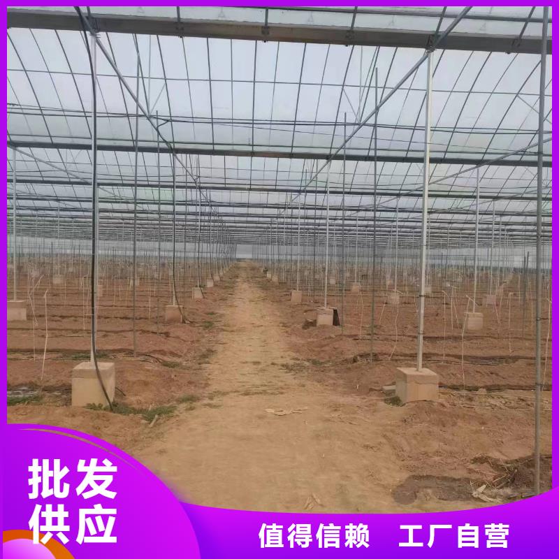 【温室大棚 光伏支架立柱自主研发】