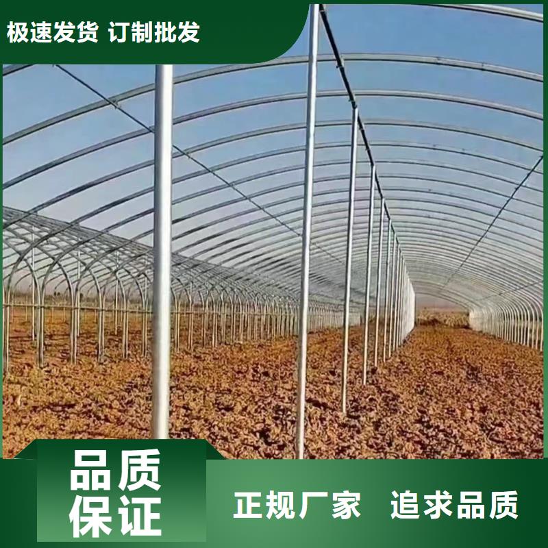 【温室大棚 光伏支架立柱自主研发】