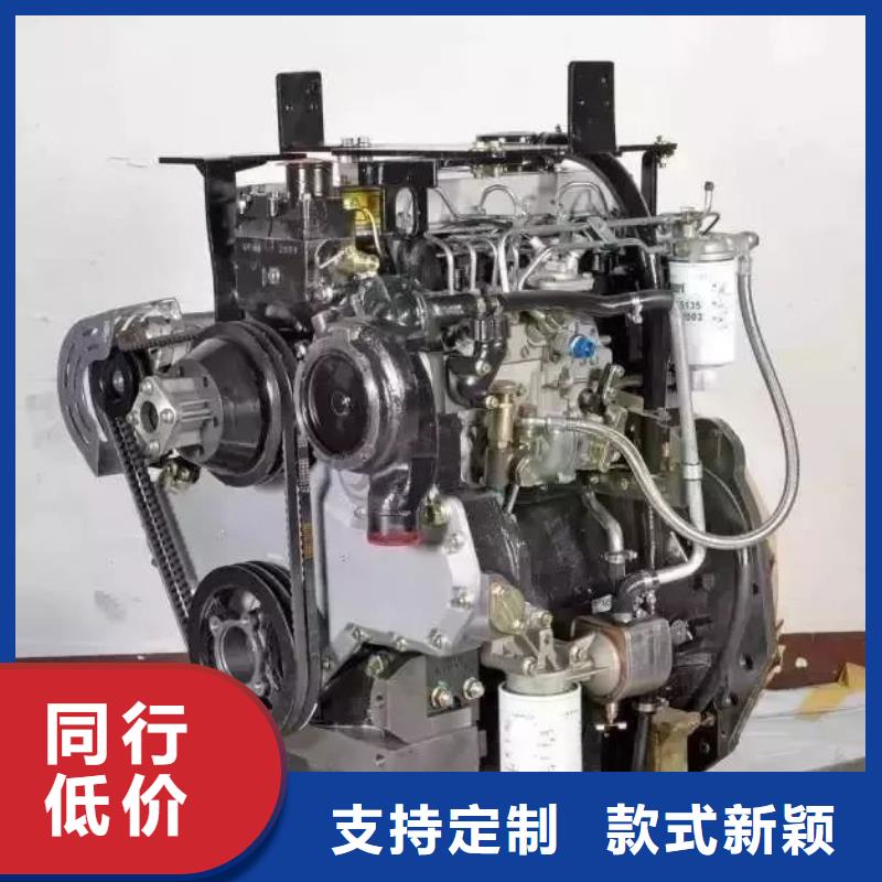 【贝隆】供应292F双缸风冷柴油机_精选厂家