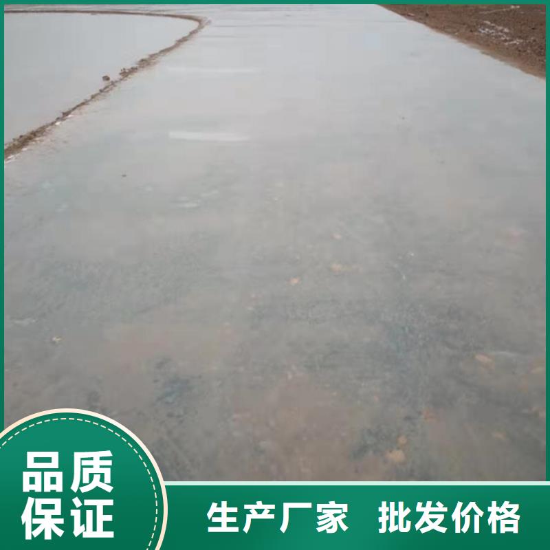 甄选：原生泰修路专用土壤固化剂厂家