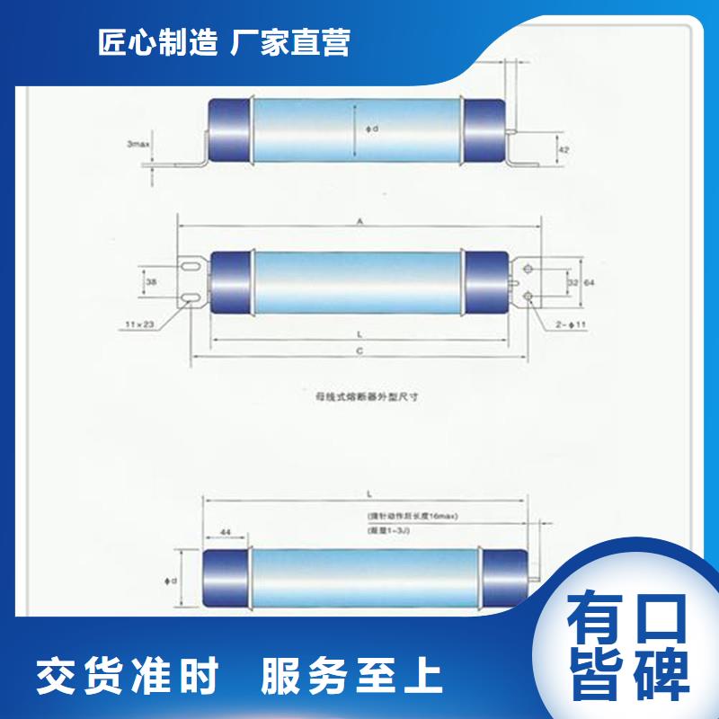 XRNM-10/150A保险管