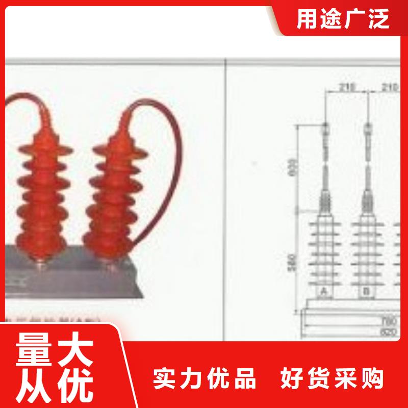 JL-110/800避雷器放电计数器特征