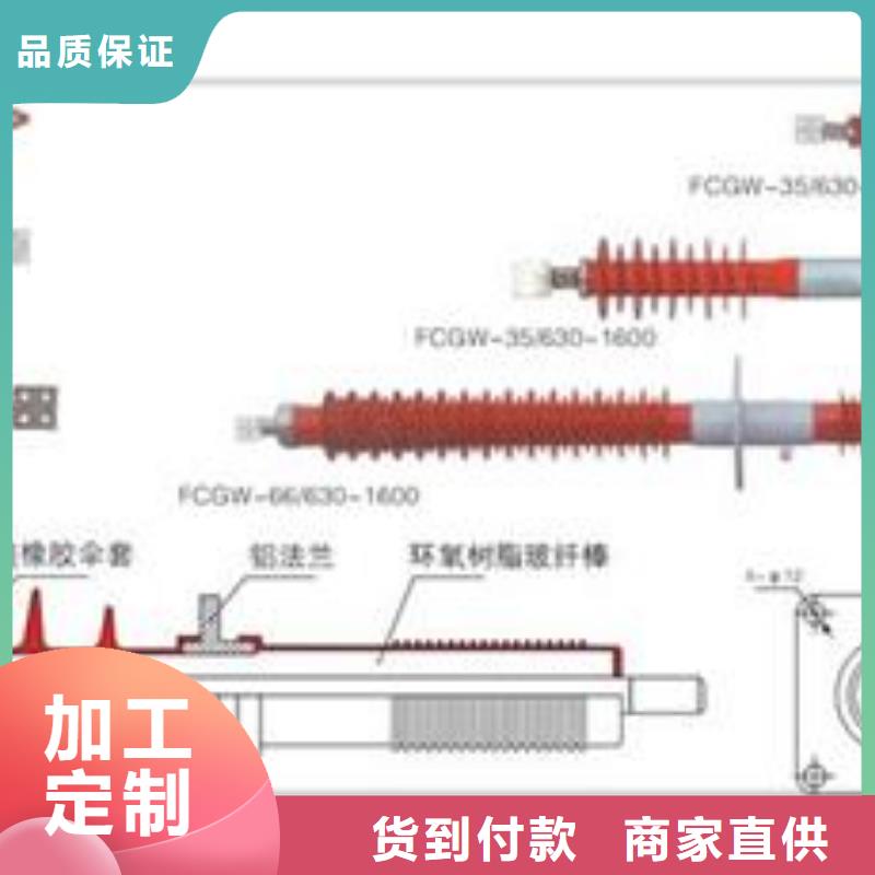 FCWW-12/1600A高压复合穿墙套管