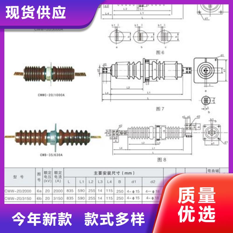 CWLB-20/3000A陶瓷穿墙套管樊高