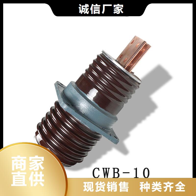 CC-10/3000A高压套管订购(樊高)