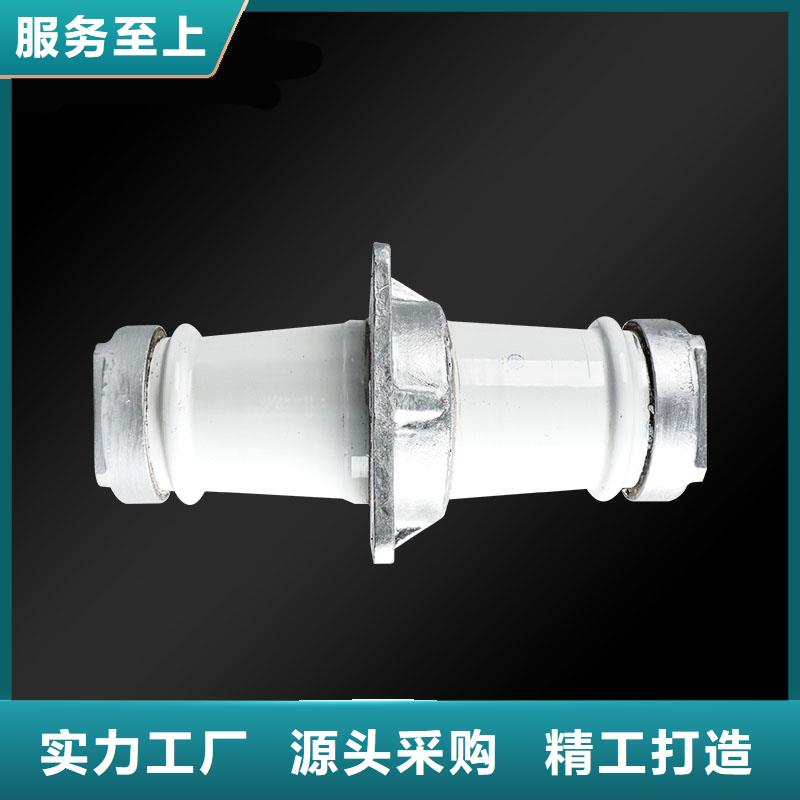 CC-10/3000A高压套管订购(樊高)
