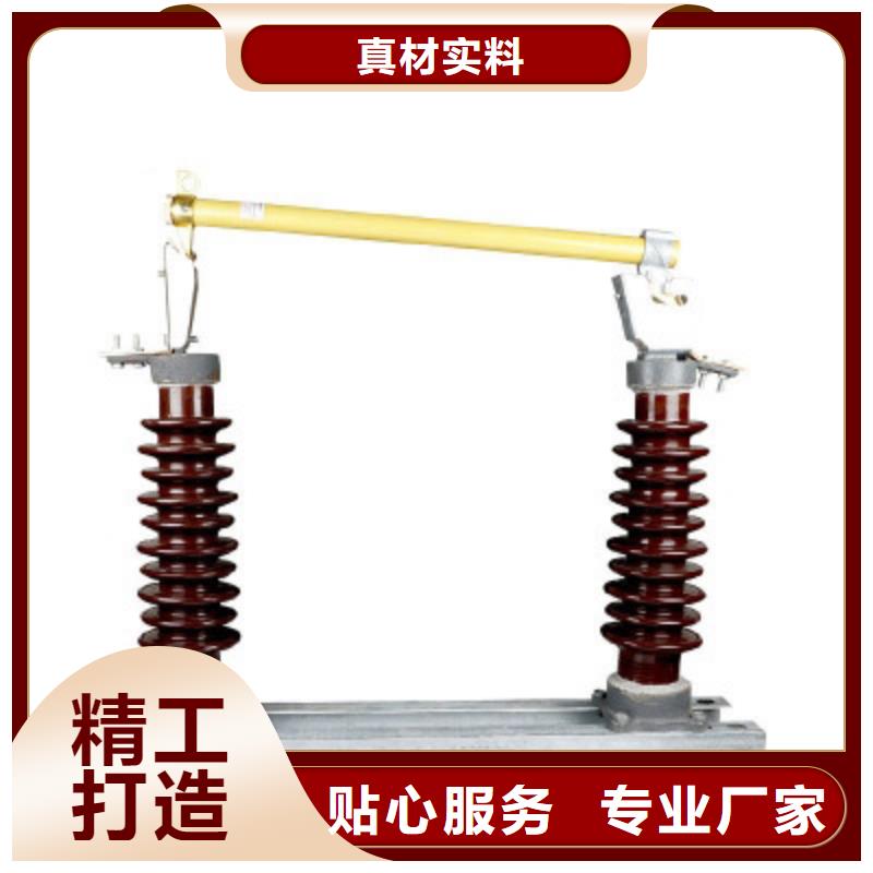 XRNP-12KV/3.15A高压保险管