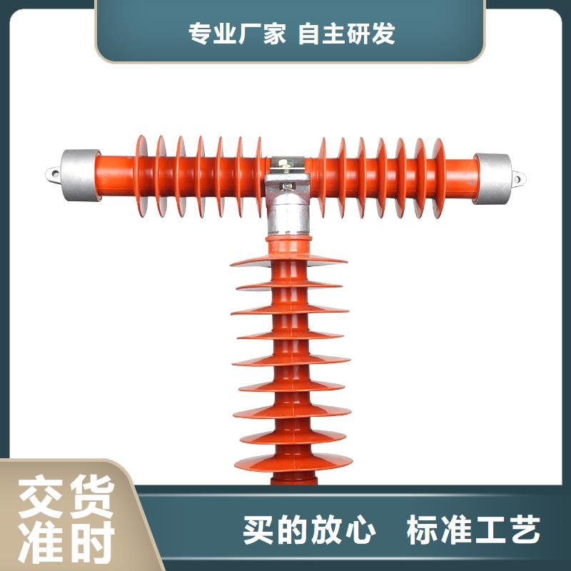 PD3-33/100A出口型跌落保险