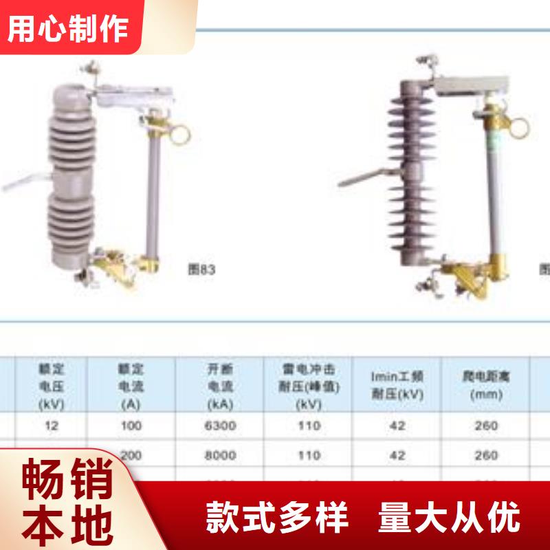 WFNHO-12/80A限流熔断器