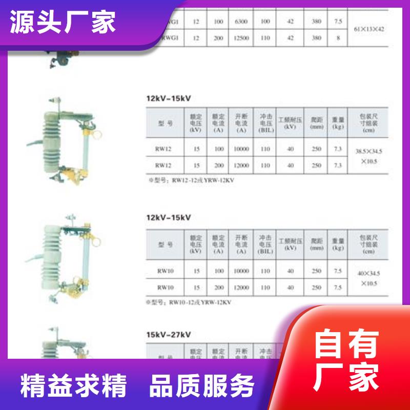 XRNM-10/125A限流熔断器厂家