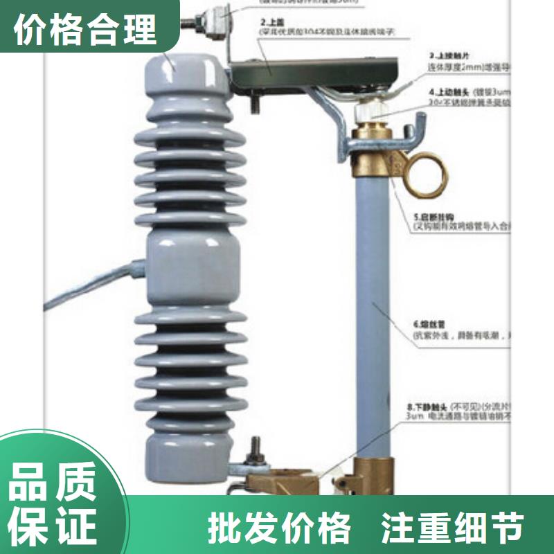 RXWO-35/2A高压熔断器