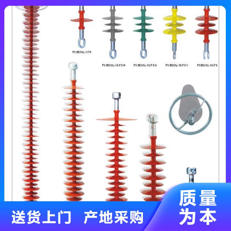 FZSW4-126/8-1高压复合绝缘子