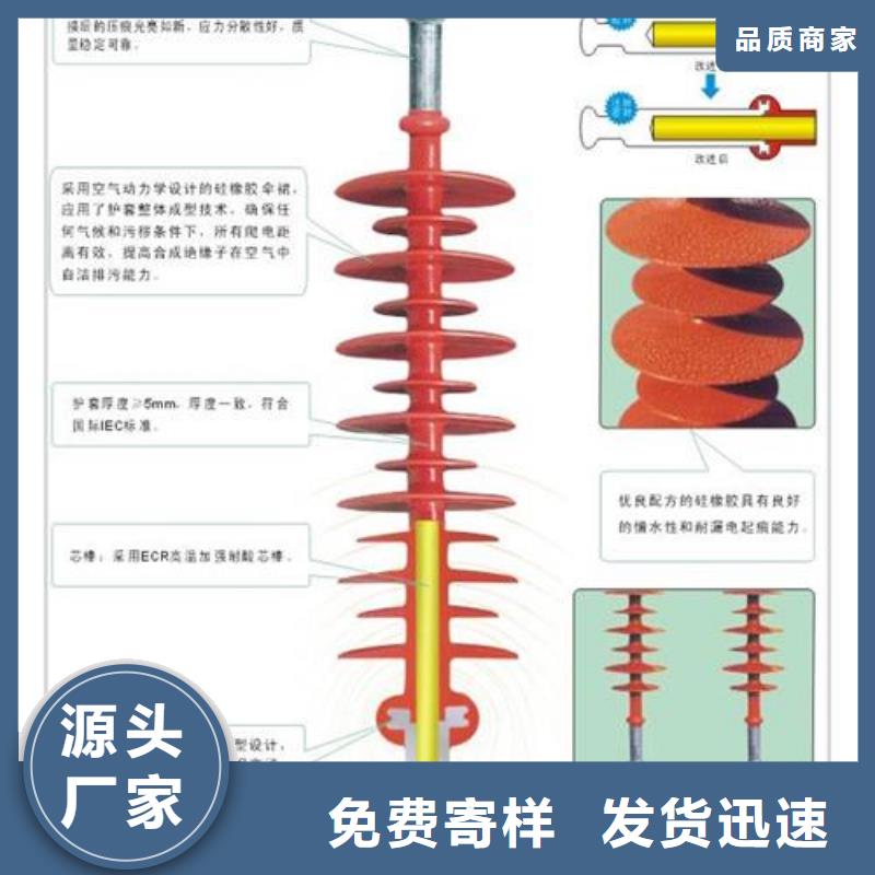 ZSW2-35/400陶瓷绝缘子樊高电气