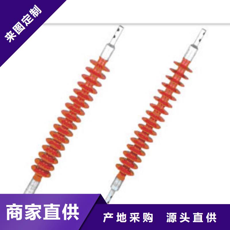 绝缘子穿墙套管N年生产经验