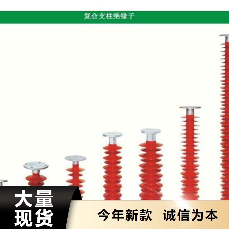 ZJ-10KV/85*145高压绝缘子