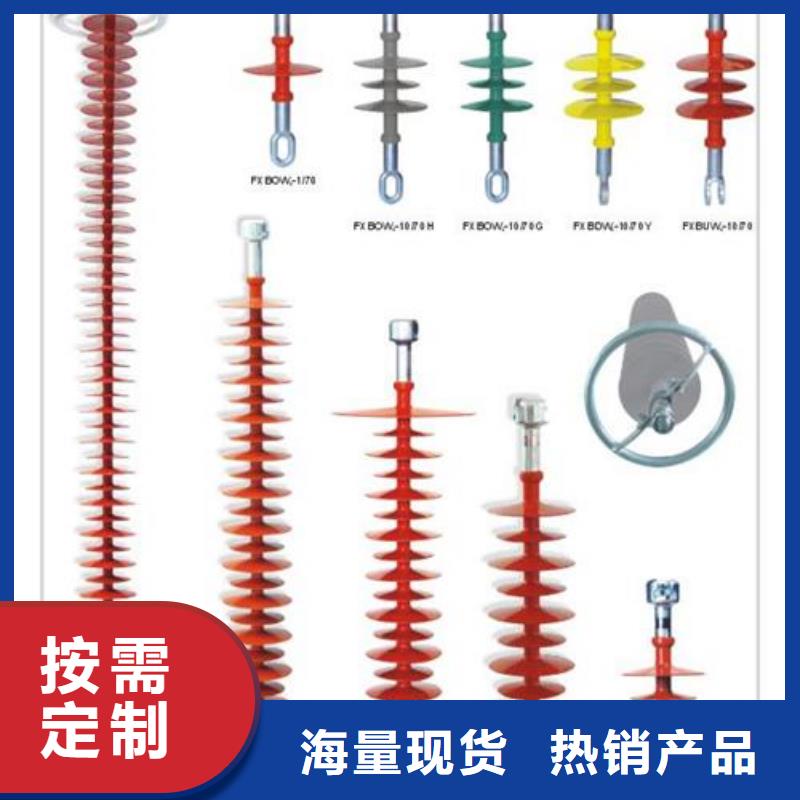 ZJ-35Q/145*320环氧树脂绝缘子