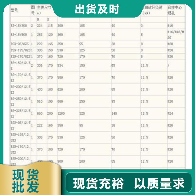 PSN-125/12.5ZS陶瓷支柱绝缘子