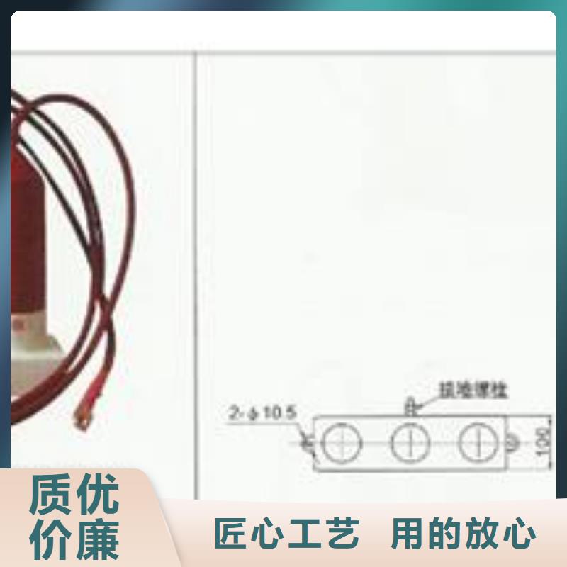 【过电压保护器】绝缘子定制定做