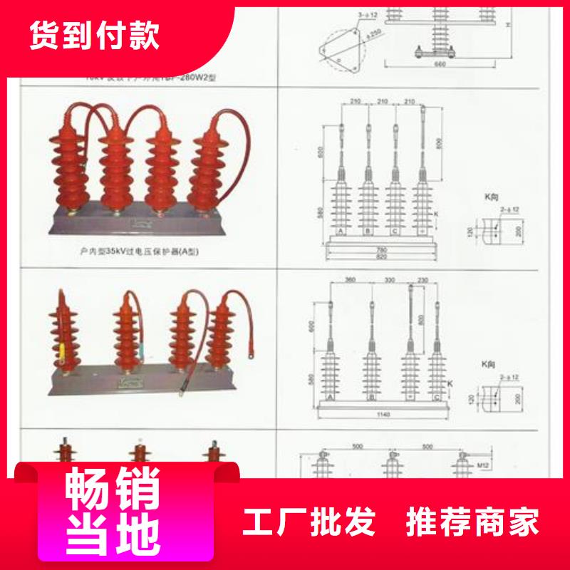 过电压保护器【跌落式熔断器】专心专注专业