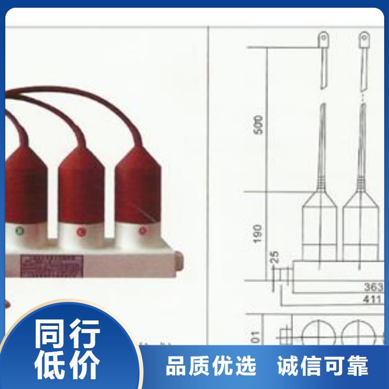 TBP-A-12.7/131F三相组合式过电压保护器樊高电气