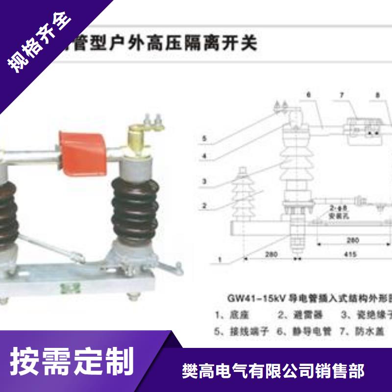 GNF38-10/630-25户内隔离开关