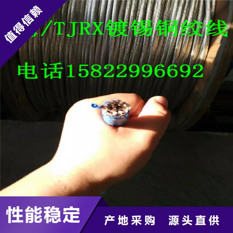 订购(辰昌盛通)铜绞线图片常用指南一米多少钱