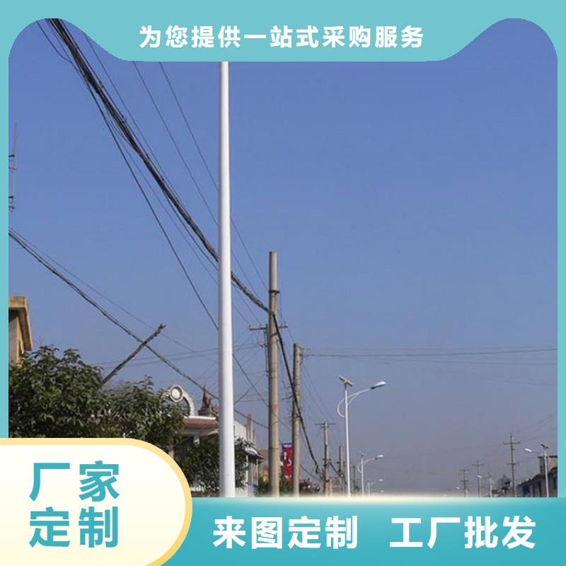 太阳能市电路灯厂家支持拿样