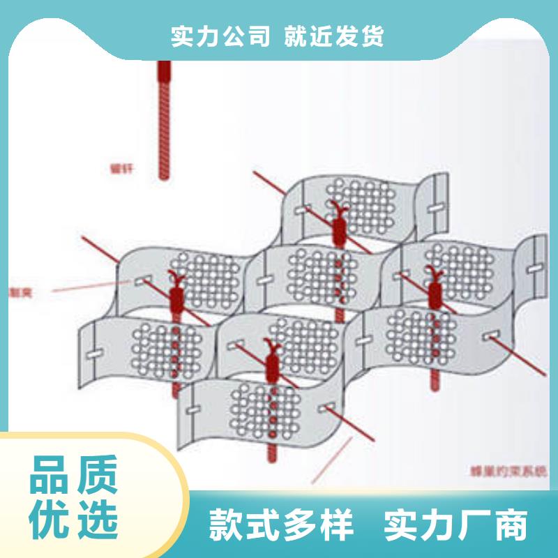 单向土工格栅厂家