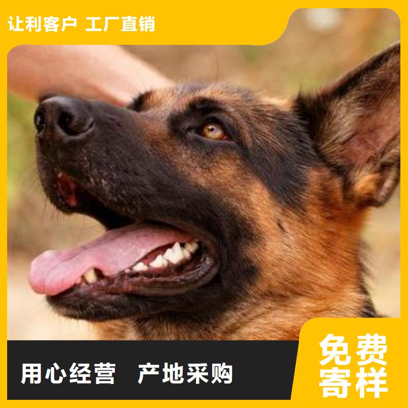 德国牧羊犬罗威纳犬匠心品质