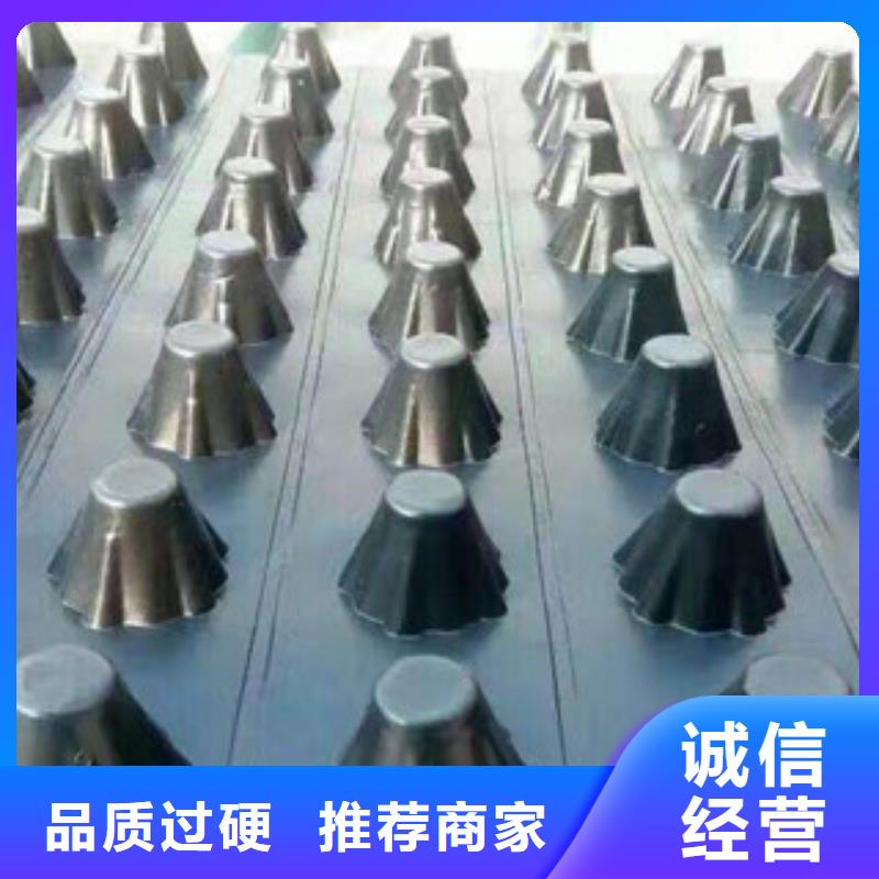 塑料排水板【膨润土防水毯厂家】源头厂家