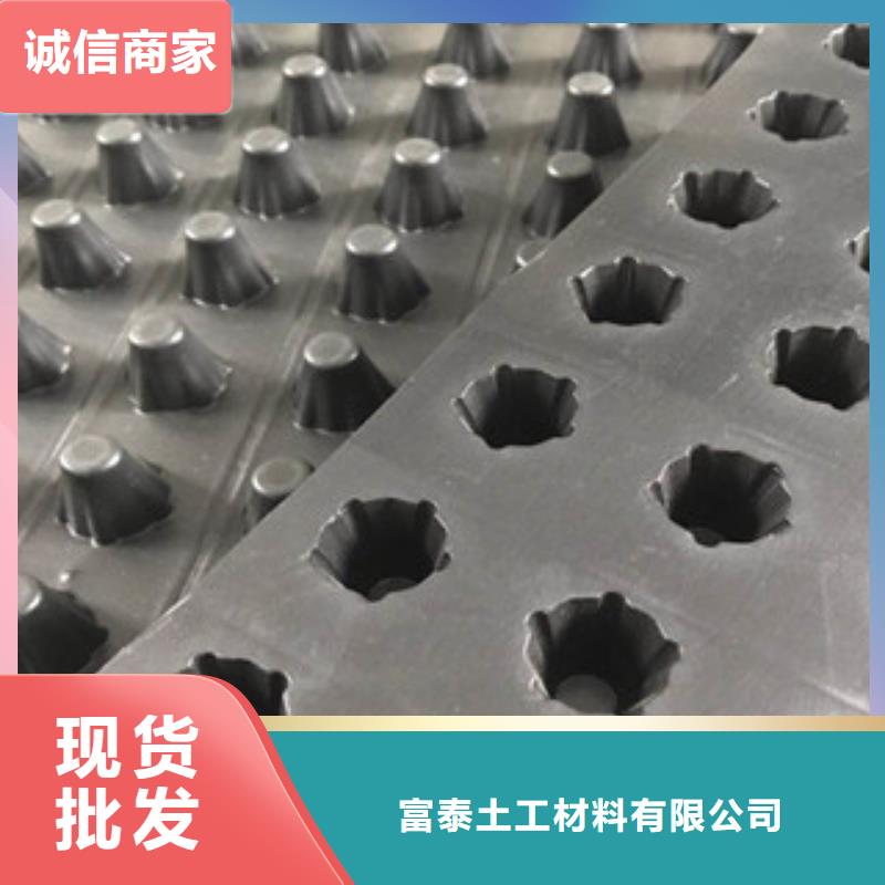塑料排水板【膨润土防水毯厂家】源头厂家