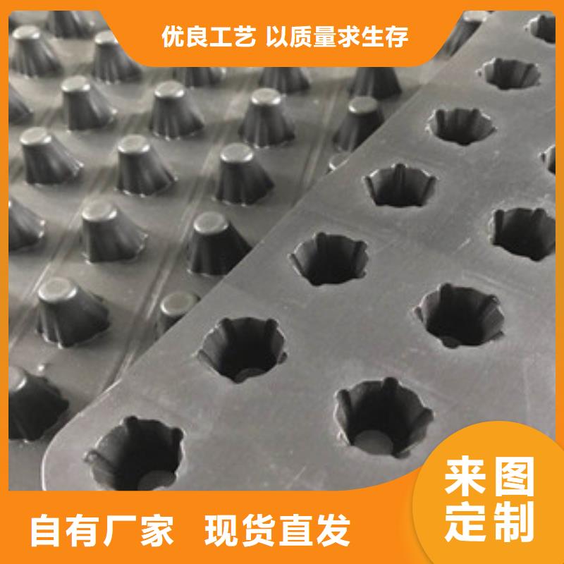 塑料排水板【膨润土防水毯厂家】源头厂家