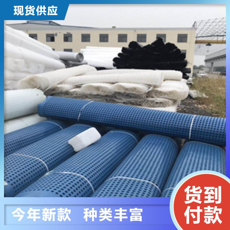 塑料排水板【膨润土防水毯厂家】源头厂家