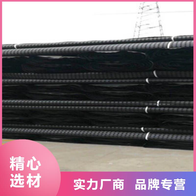 塑料排水板【膨润土防水毯厂家】源头厂家