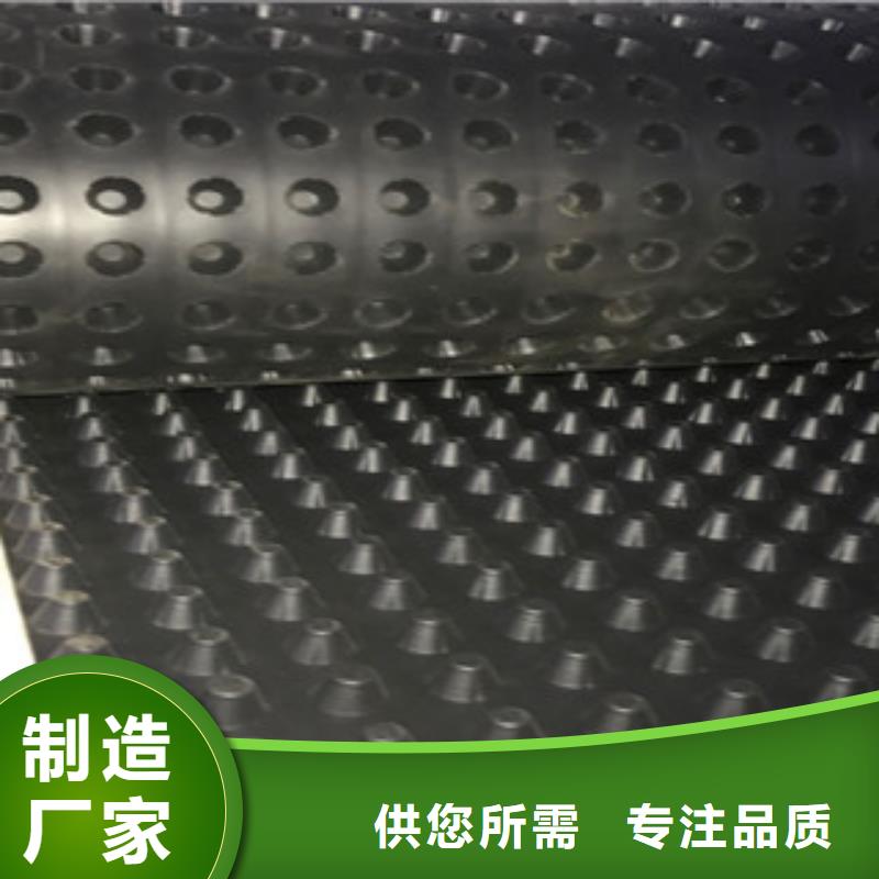 塑料排水板【膨润土防水毯厂家】源头厂家