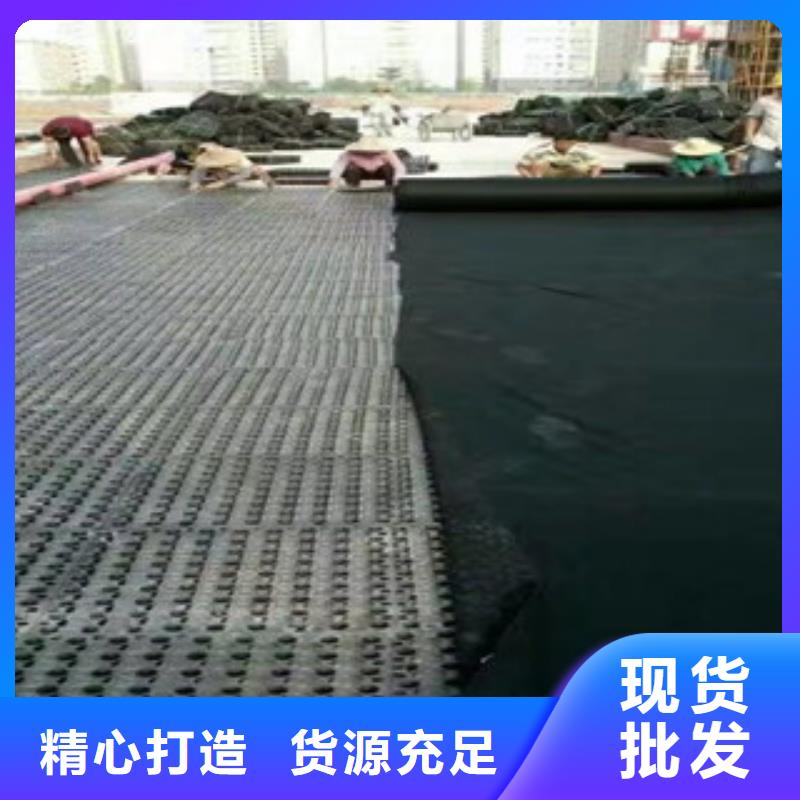 蓄排水板膨润土防水毯厂家产品细节参数